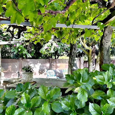 Holibai, Mina Xoia, Con Historia Y Jardin Exquisito En Galicia Apartamento
